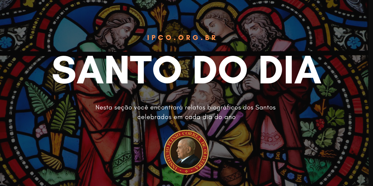 No momento, você está visualizando 06/11 – São Nuno de Santa Maria, confessor