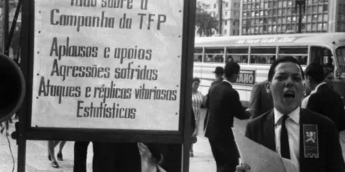 Cinquenta anos de autodemolição na Igreja