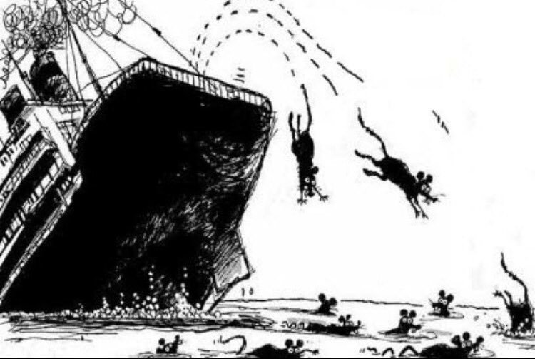 No momento, você está visualizando Fim de vida amargo