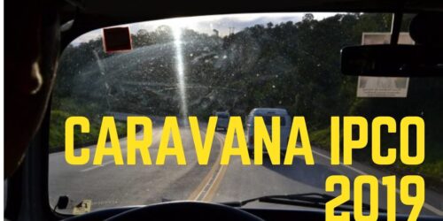 Vídeo: “Não!” à Ideologia de Gênero – Caravana IPCO 2019