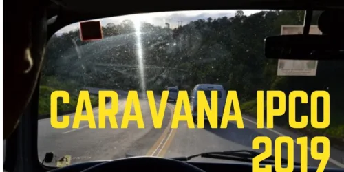 Vídeo: “Não!” à Ideologia de Gênero – Caravana IPCO 2019