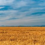 Cícero e as virtudes da agropecuária