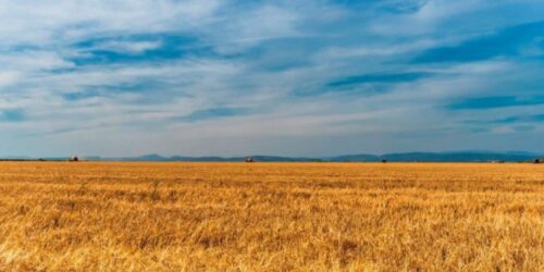 Cícero e as virtudes da agropecuária