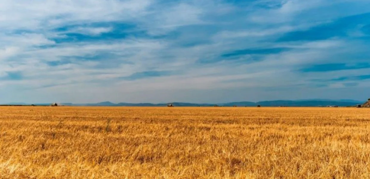 No momento, você está visualizando Cícero e as virtudes da agropecuária
