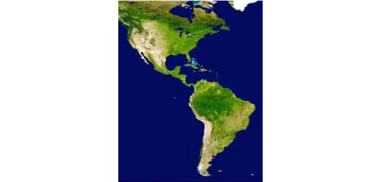 No momento, você está visualizando O que pensava o Prof. Plinio sobre as relações Brasil-EUA?