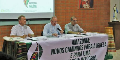O Sínodo da Amazônia a caminho do socialismo ecológico