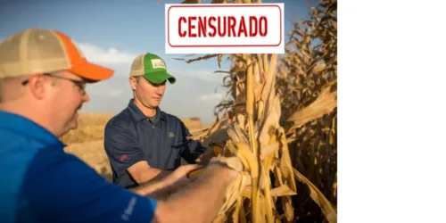 A mídia prova (contra si mesma) ser antipatriótica: uma central de fuxicos a favor da esquerda