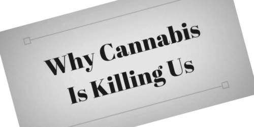 “10 fatos sobre a maconha que mudarão sua mente” (III)