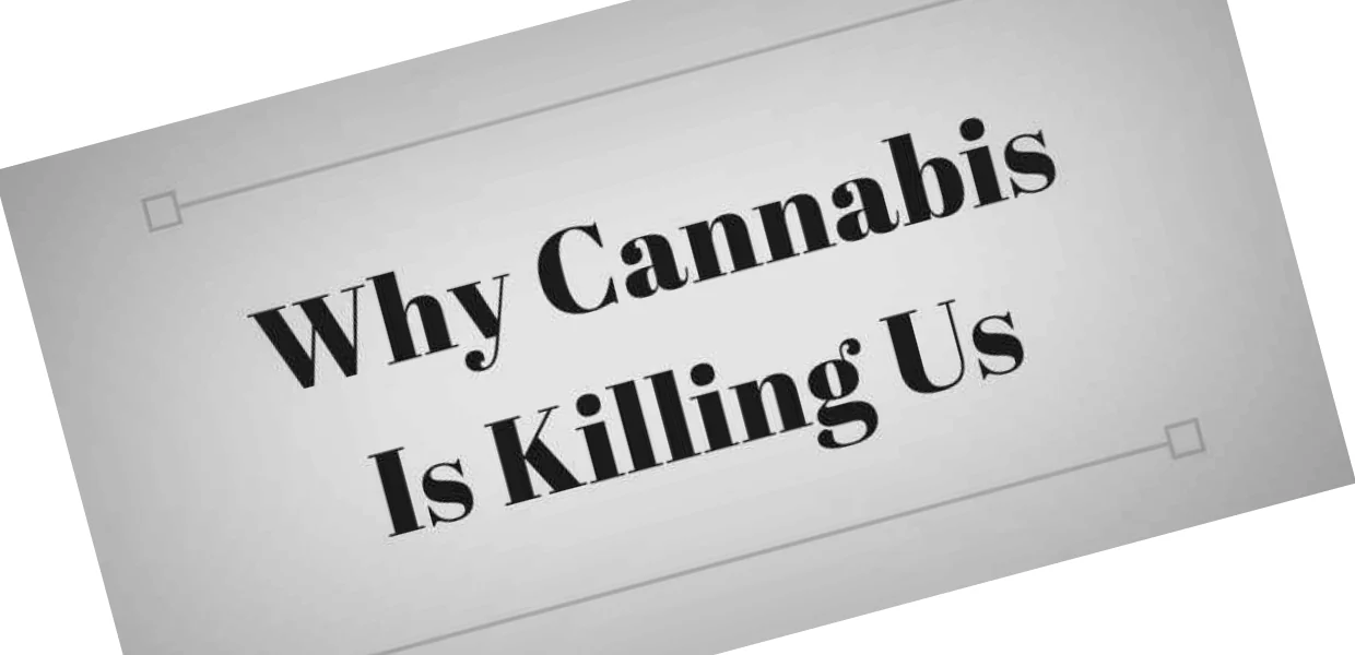 No momento, você está visualizando “10 fatos sobre a maconha que mudarão sua mente” (III)