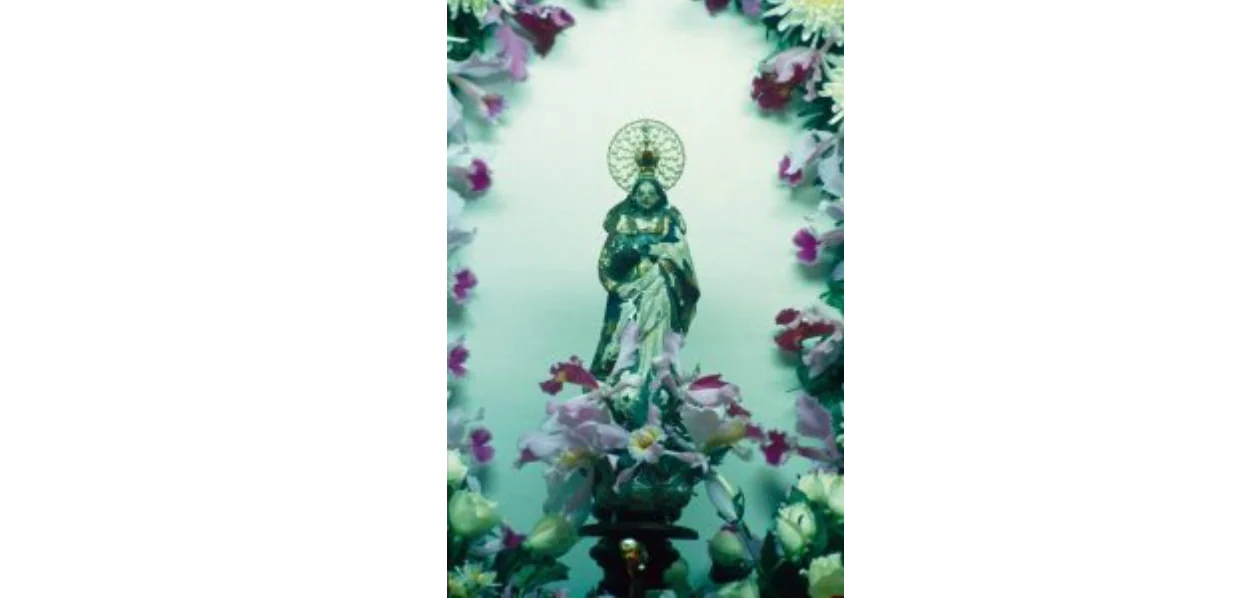 No momento, você está visualizando Nossa Senhora da Conceição, Vítima dos Terroristas