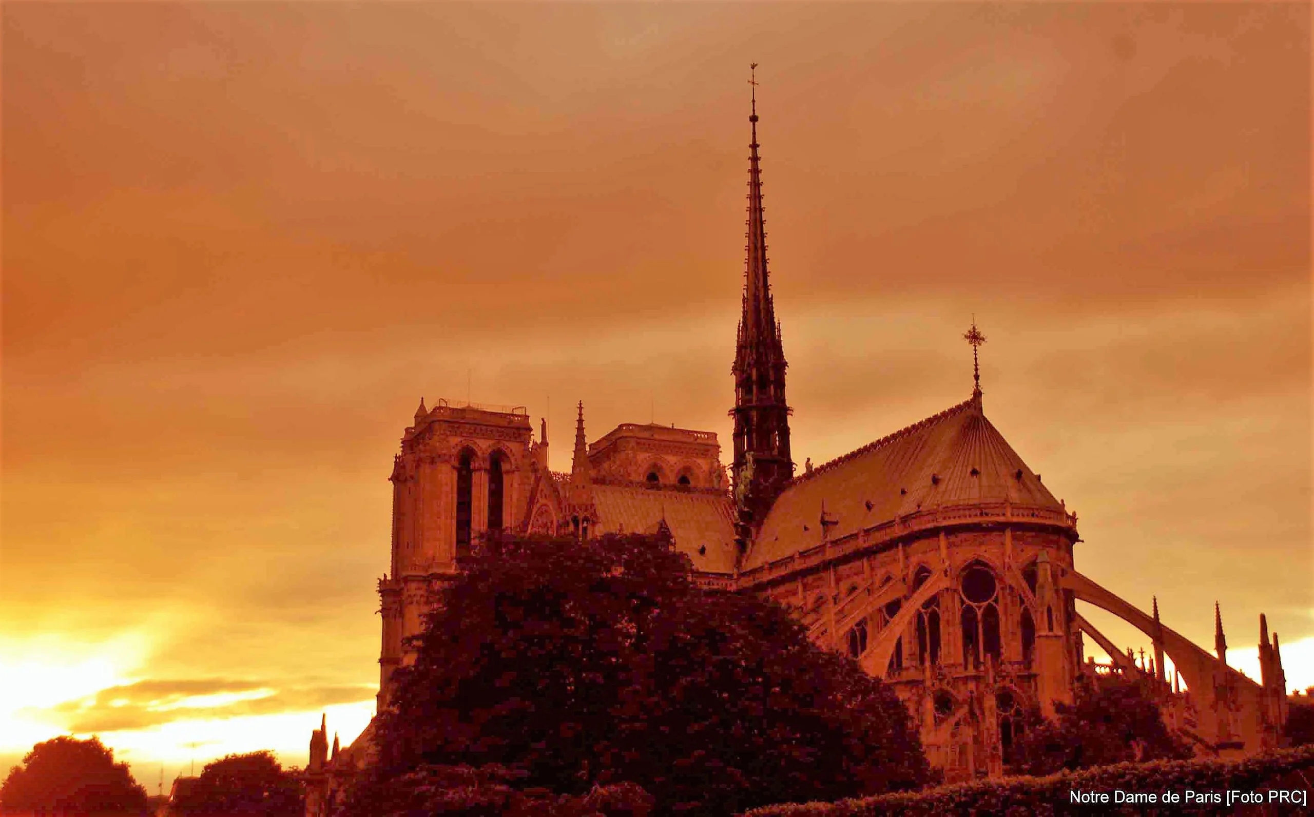 No momento, você está visualizando Notre Dame de Paris, um olhar, uma virtude