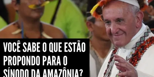 ATENÇÃO: Você sabe o que estão propondo para o Sínodo da Amazônia?