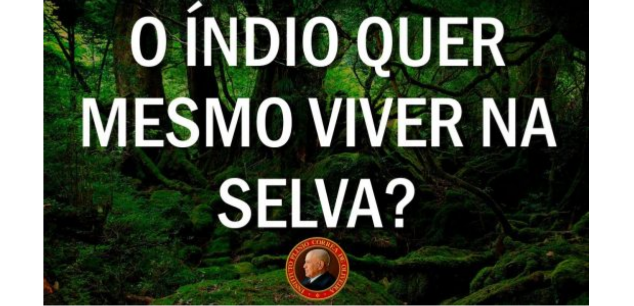No momento, você está visualizando Sínodo da Amazônia: Os índios querem mesmo ficar na selva? Veja o que eles dizem…