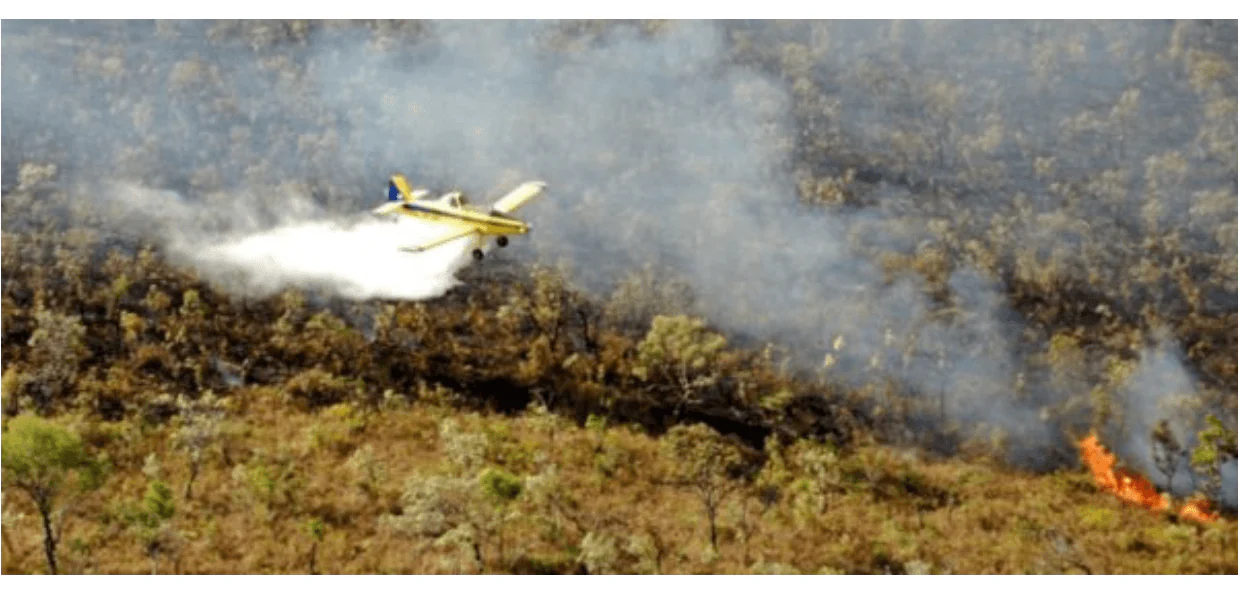 No momento, você está visualizando Amazônia: nota do SINDAG apaga incêndio e frenesi da midia