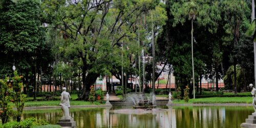 A respeito da natureza criada por Deus, algumas frases que ecologistas odeiam