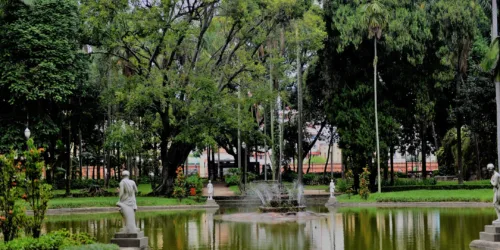 A respeito da natureza criada por Deus, algumas frases que ecologistas odeiam