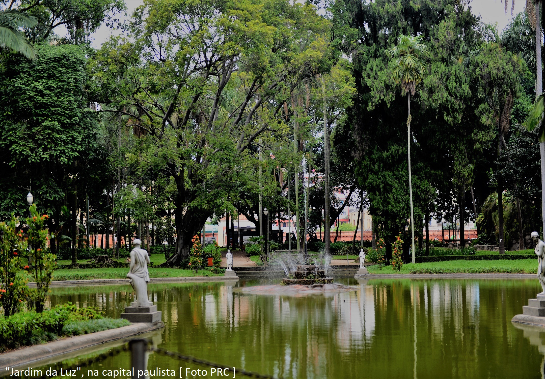 No momento, você está visualizando A respeito da natureza criada por Deus, algumas frases que ecologistas odeiam