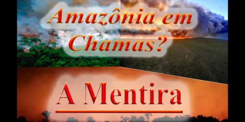 Vídeo: O Brasil sob ataque e a grande Mentira: Amazônia em Chamas