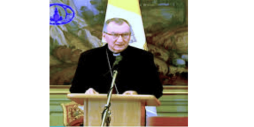 Cardeal Parolin viola a subsidiariedade na ONU, o Sínodo da Amazônia e a soberania nacional