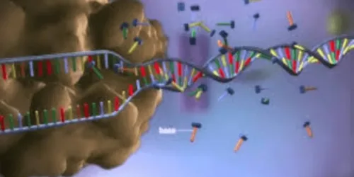 Biologia molecular contesta e desmente teoria de Darwin