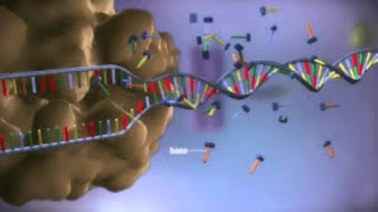 No momento, você está visualizando Biologia molecular contesta e desmente teoria de Darwin