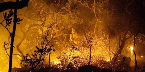 Os mitos e as mentiras das elites globais sobre os incêndios na Amazônia queimam intensamente