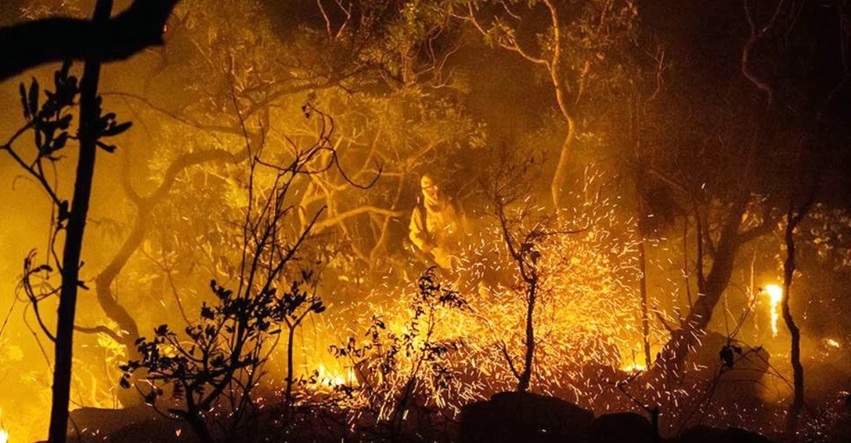 No momento, você está visualizando Os mitos e as mentiras das elites globais sobre os incêndios na Amazônia queimam intensamente