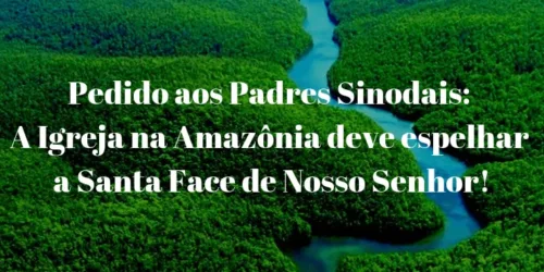 Assine a Petição alertando sobre os perigos do Sínodo da Amazônia