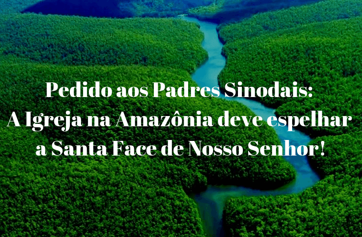 No momento, você está visualizando Assine a Petição alertando sobre os perigos do Sínodo da Amazônia