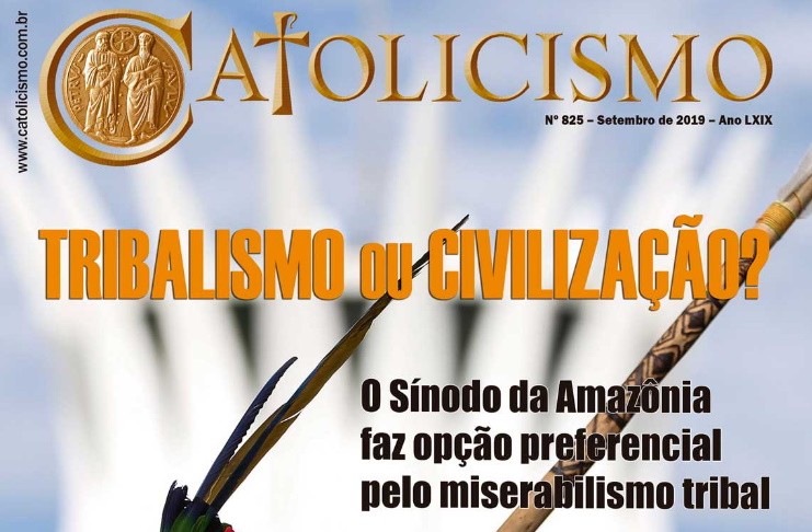 No momento, você está visualizando Alerta contra o Sínodo Pan-Amazônico