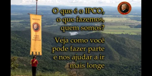 O que é o IPCO, o que fazemos, quem somos? Como você pode ajudar.