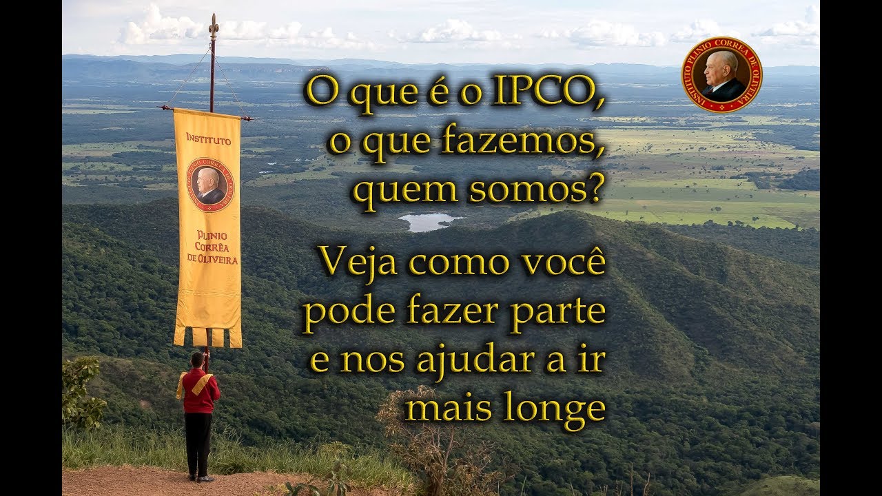 No momento, você está visualizando O que é o IPCO, o que fazemos, quem somos? Como você pode ajudar.