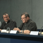 Sínodo e infanticídio indígena: dois bispos contradizem o Cardeal Barreto