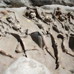 Fossilização das sociedades comunistas