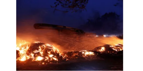 Incêndios devastadores na Califórnia: com a palavra Macron e ONGs ambientalistas