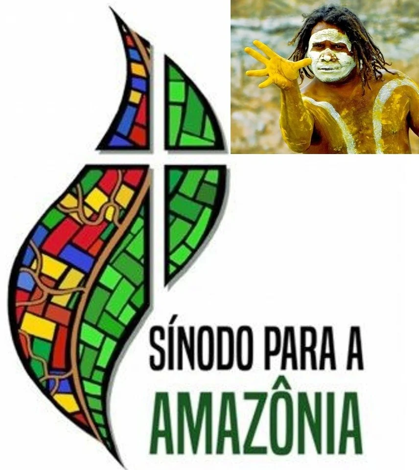 No momento, você está visualizando Sínodo da Amazônia: que os bispos falem de Cristo e não de sincretismo