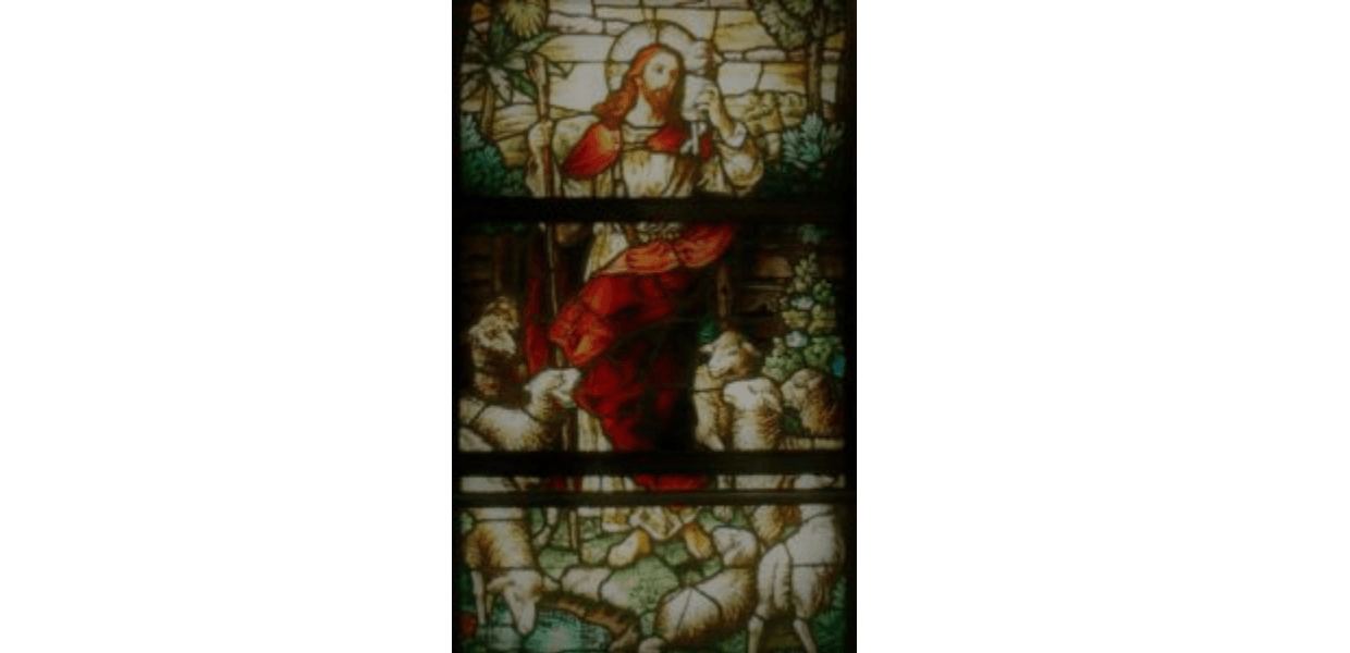 No momento, você está visualizando A OVELHA PERDIDA