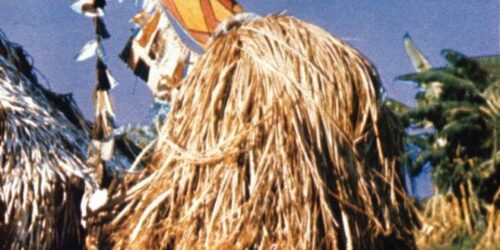 A concepção “aggiornata” e progressista da Missão