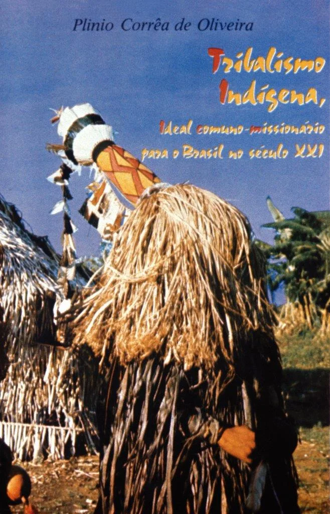 No momento, você está visualizando A concepção “aggiornata” e progressista da Missão