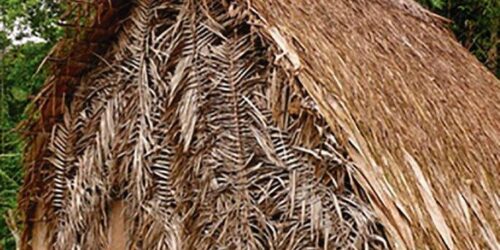 Cochilando, às vezes se ouve e se aprende…