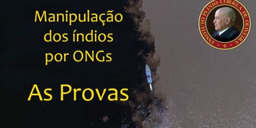 O IPCO Denuncia e Prova: Os índios estão sendo manipulados por ONGs – Sínodo da Amazônia