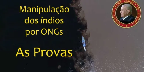 O IPCO Denuncia e Prova: Os índios estão sendo manipulados por ONGs – Sínodo da Amazônia