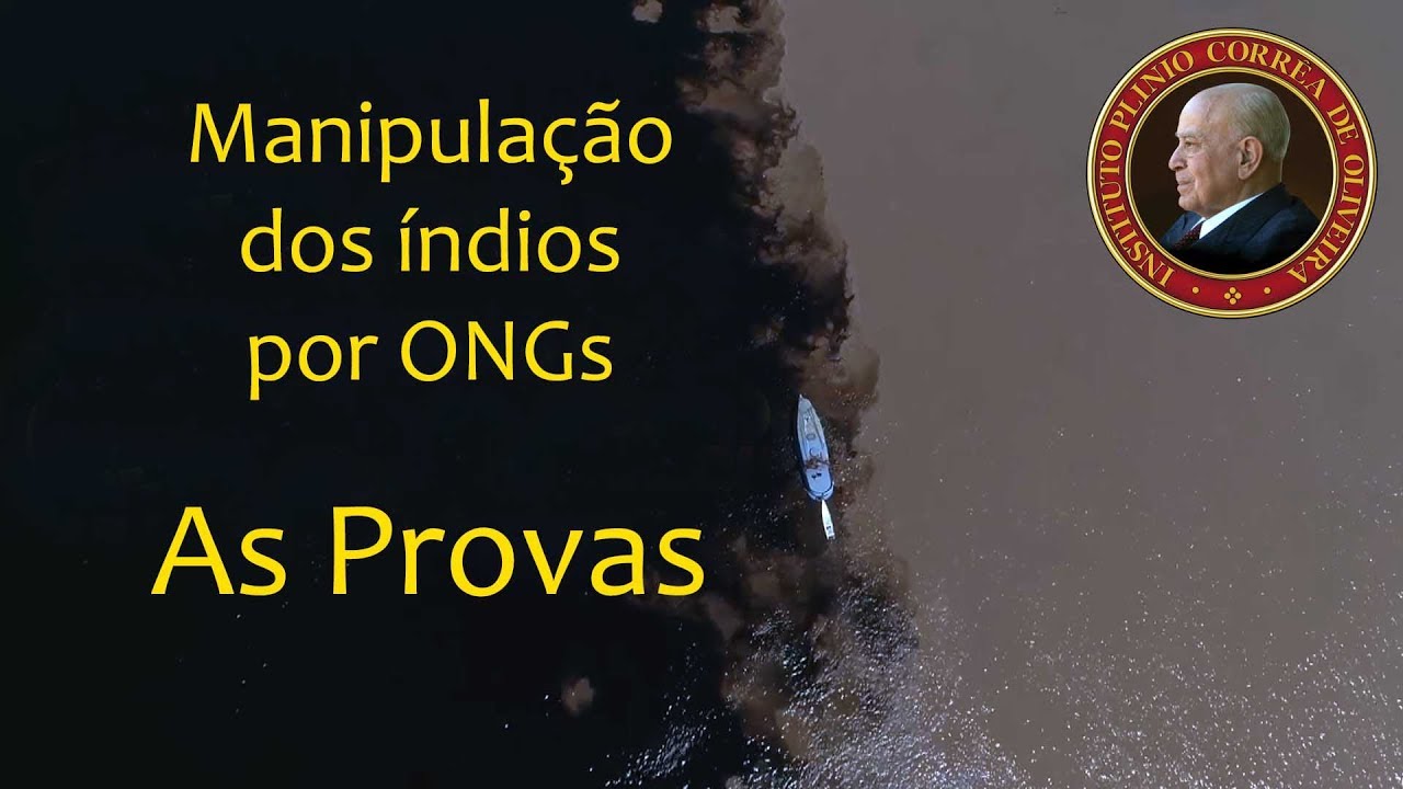 No momento, você está visualizando O IPCO Denuncia e Prova: Os índios estão sendo manipulados por ONGs – Sínodo da Amazônia