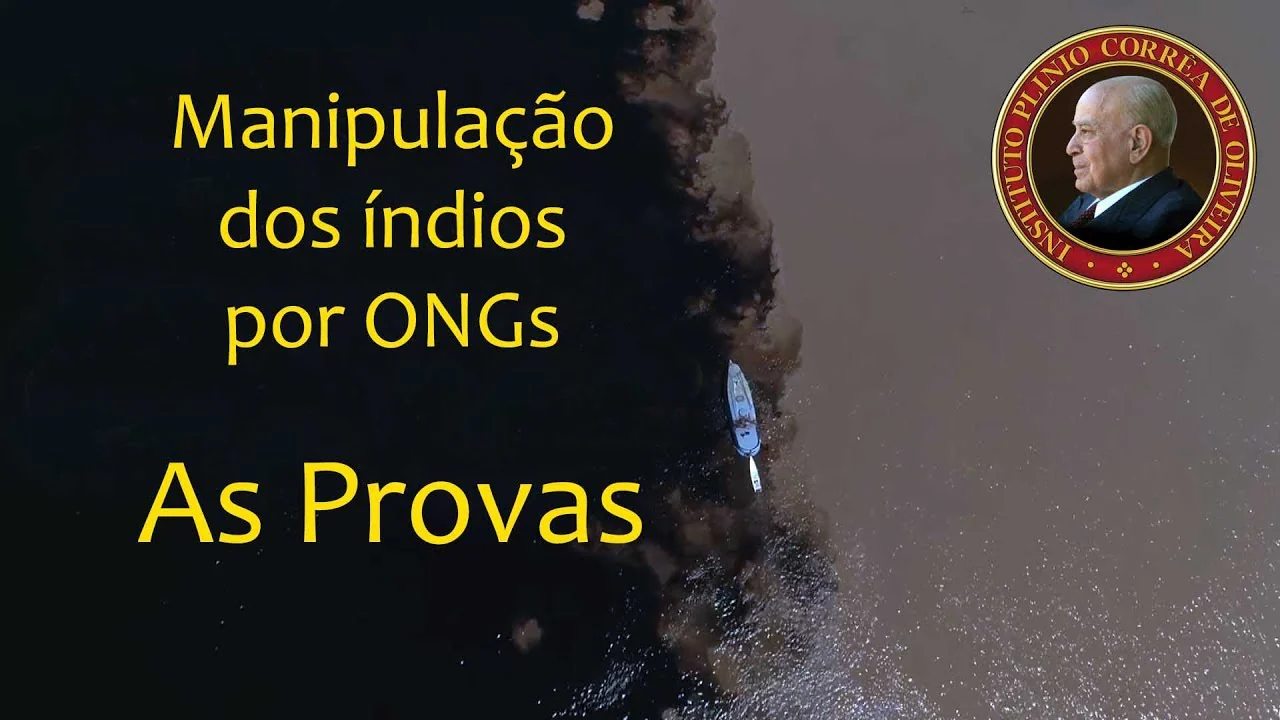 No momento, você está visualizando O IPCO Denuncia e Prova: Os índios estão sendo manipulados por ONGs – Sínodo da Amazônia