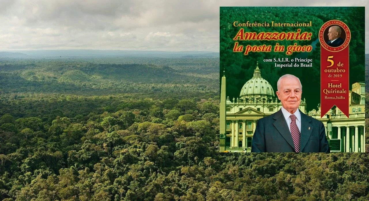 No momento, você está visualizando AMAZÔNIA EM XEQUE
