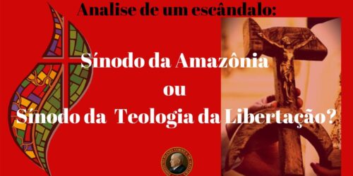 Analise de um escândalo: Sínodo da Amazônia ou Sínodo da nova Teologia da Libertação?