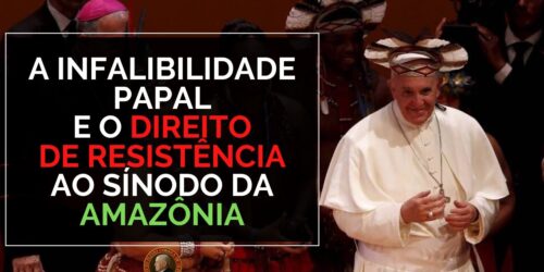 Qual Postura um Católico deve ter diante do Sínodo da Amazônia: o Direito de Resistir às Inovações