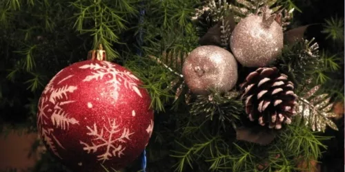 Contos de Natal: Os três pinheiros de Thann