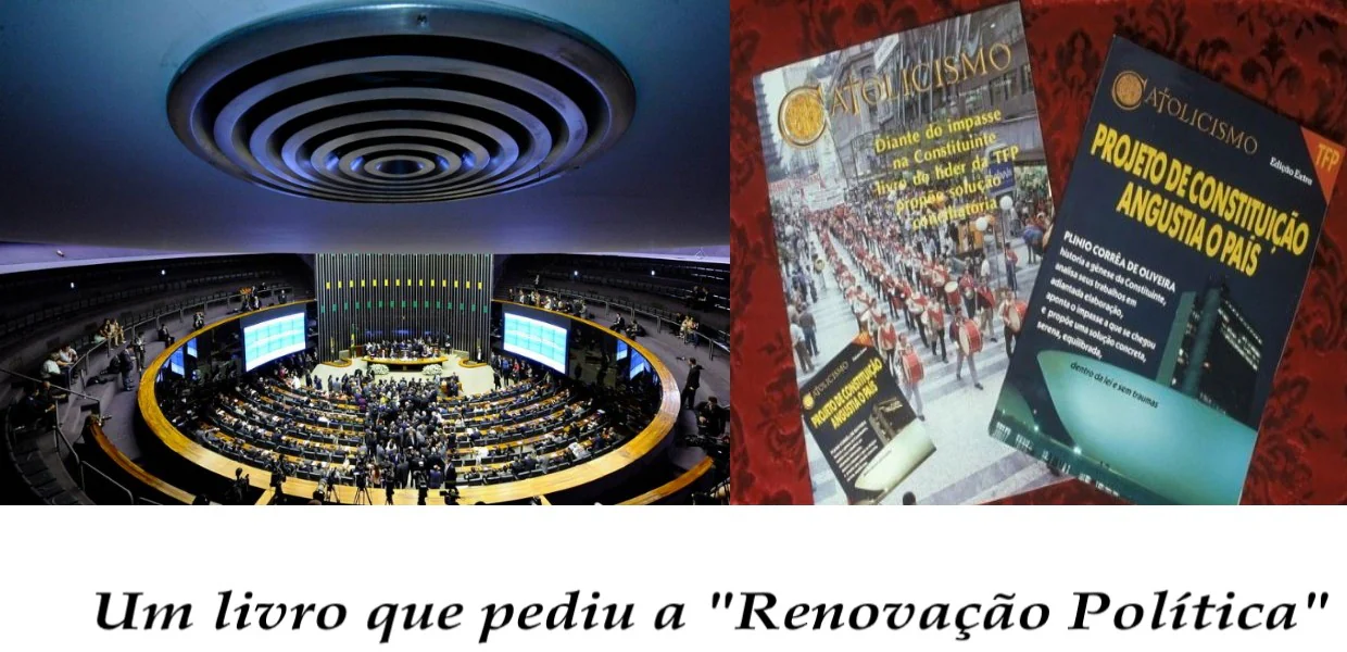 No momento, você está visualizando Novatos mudam o Congresso. Em 1988 (num livro) a solução para mudar o Brasil