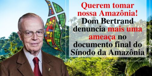 Denúncia: Mais uma ameaça no Documento Final do Sínodo da Amazônia Príncipe Dom Bertrand comenta